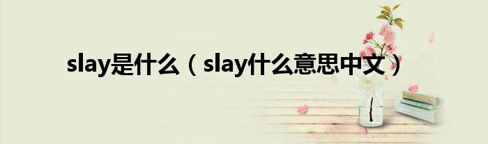 slay是什么（slay什么意思中文）