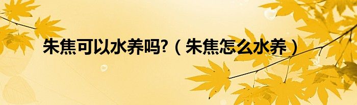 朱焦可以水养吗?（朱焦怎么水养）