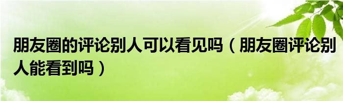 朋友圈的评论别人可以看见吗（朋友圈评论别人能看到吗）