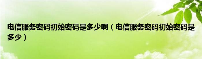 电信服务密码初始密码是多少啊（电信服务密码初始密码是多少）