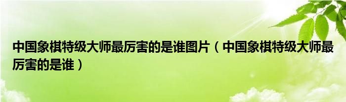 中国象棋特级大师最厉害的是谁图片（中国象棋特级大师最厉害的是谁）