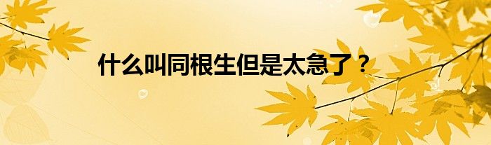 什么叫同根生但是太急了？