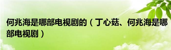 何兆海是哪部电视剧的（丁心菇、何兆海是哪部电视剧）