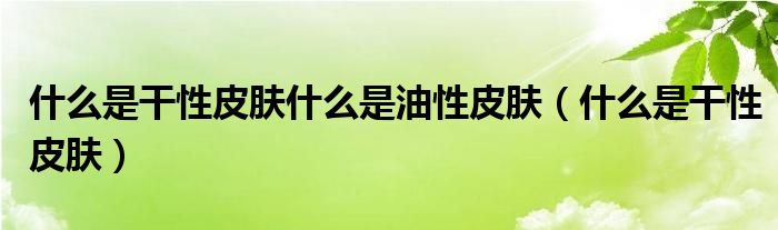 什么是干性皮肤什么是油性皮肤（什么是干性皮肤）