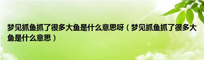 梦见抓鱼抓了很多大鱼是什么意思呀（梦见抓鱼抓了很多大鱼是什么意思）