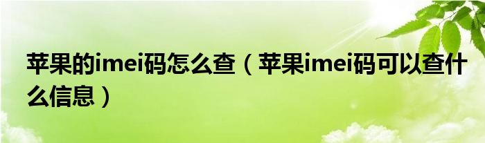 苹果的imei码怎么查（苹果imei码可以查什么信息）