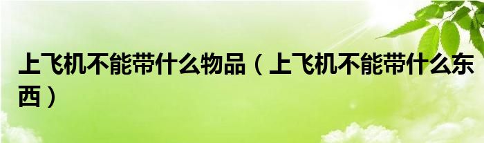 上飞机不能带什么物品（上飞机不能带什么东西）