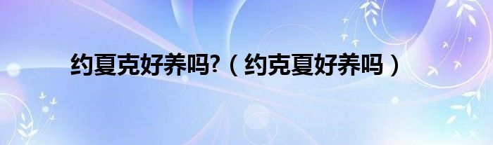 约夏克好养吗?（约克夏好养吗）