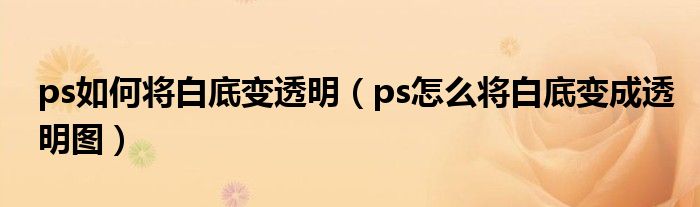 ps如何将白底变透明（ps怎么将白底变成透明图）