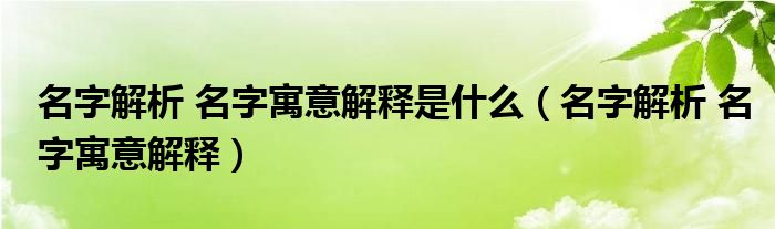 名字解析 名字寓意解释是什么（名字解析 名字寓意解释）