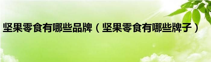 坚果零食有哪些品牌（坚果零食有哪些牌子）