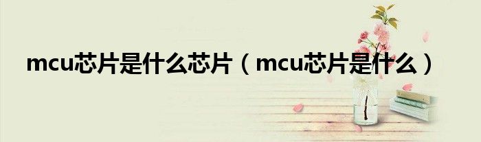 mcu芯片是什么芯片（mcu芯片是什么）