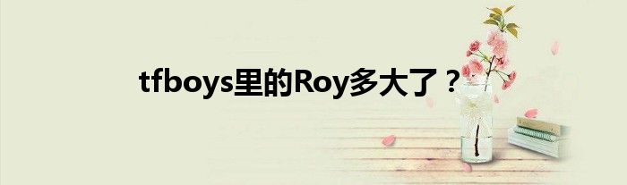 tfboys里的Roy多大了？