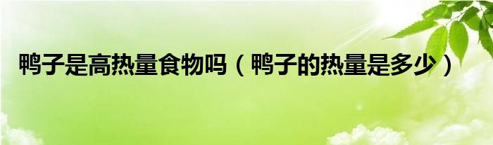 鸭子是高热量食物吗（鸭子的热量是多少）