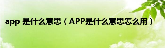 app 是什么意思（APP是什么意思怎么用）