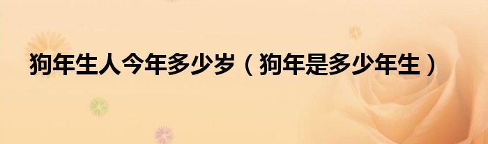 狗年生人今年多少岁（狗年是多少年生）