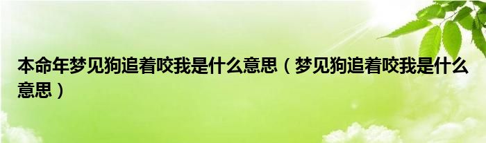 本命年梦见狗追着咬我是什么意思（梦见狗追着咬我是什么意思）