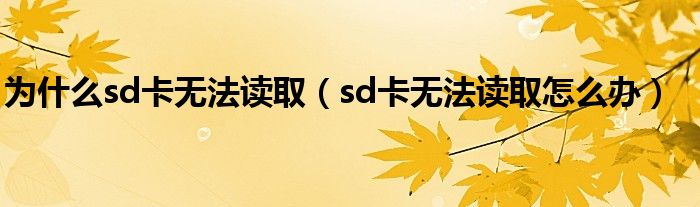 为什么sd卡无法读取（sd卡无法读取怎么办）