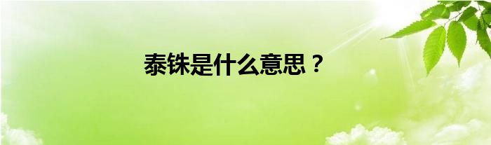 泰铢是什么意思？