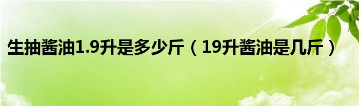 生抽酱油1.9升是多少斤（19升酱油是几斤）