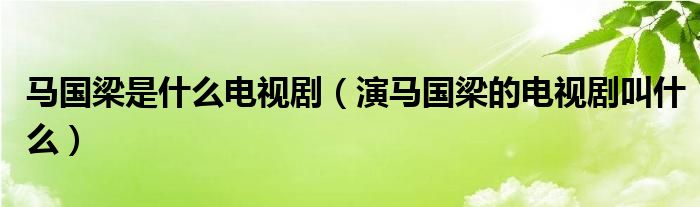 马国梁是什么电视剧（演马国梁的电视剧叫什么）