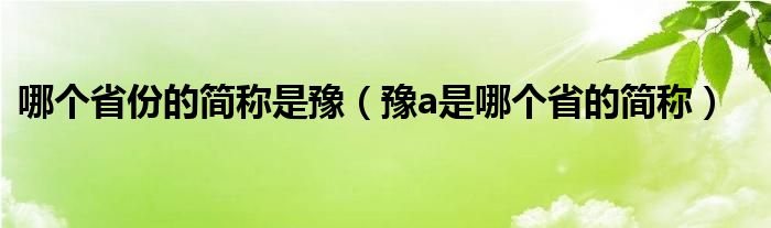 哪个省份的简称是豫（豫a是哪个省的简称）