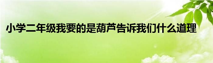 小学二年级我要的是葫芦告诉我们什么道理