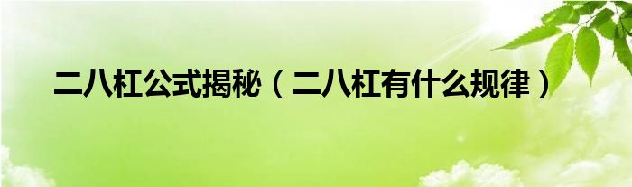 二八杠公式揭秘（二八杠有什么规律）