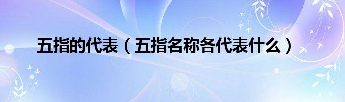 五指的代表（五指名称各代表什么）