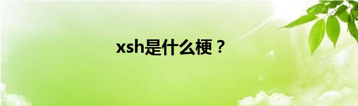 xsh是什么梗？