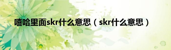 嘻哈里面skr什么意思（skr什么意思）