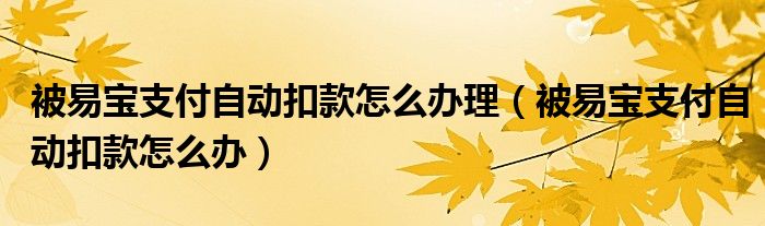 被易宝支付自动扣款怎么办理（被易宝支付自动扣款怎么办）