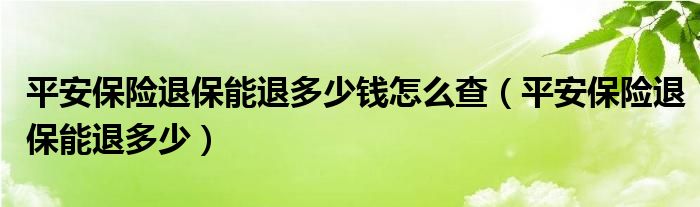 平安保险退保能退多少钱怎么查（平安保险退保能退多少）