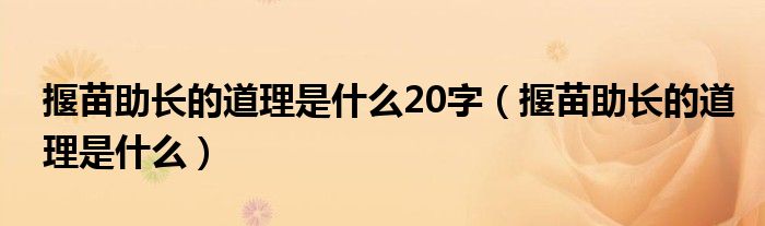 揠苗助长的道理是什么20字（揠苗助长的道理是什么）