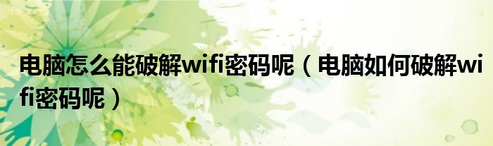 电脑怎么能破解wifi密码呢（电脑如何破解wifi密码呢）