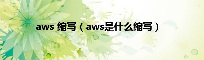 aws 缩写（aws是什么缩写）