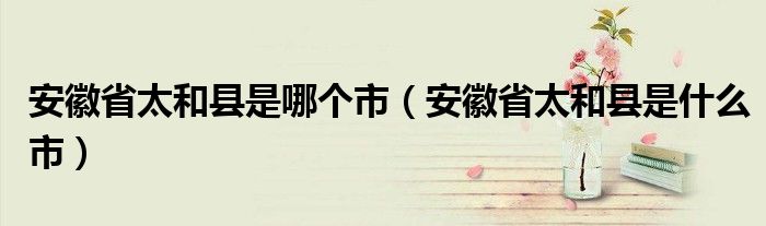 安徽省太和县是哪个市（安徽省太和县是什么市）