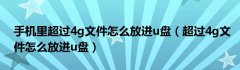 手机里超过4g文件怎么放进u盘（超过4g文件怎么放进u盘）