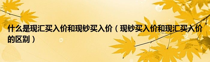 什么是现汇买入价和现钞买入价（现钞买入价和现汇买入价的区别）