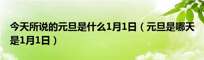 今天所说的元旦是什么1月1日（元旦是哪天 是1月1日）