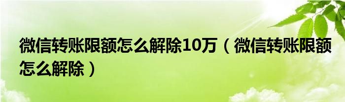 微信转账限额怎么解除10万（微信转账限额怎么解除）