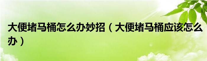 大便堵马桶怎么办妙招（大便堵马桶应该怎么办）