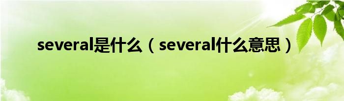 several是什么（several什么意思）