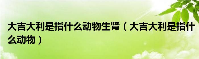 大吉大利是指什么动物生肾（大吉大利是指什么动物）