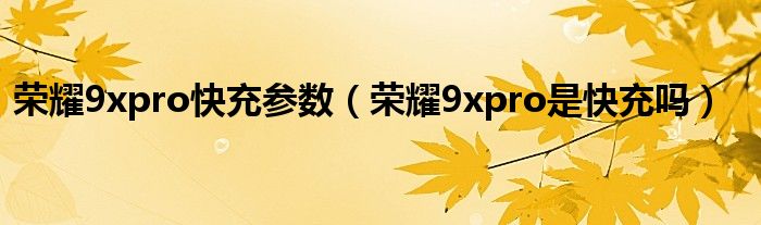 荣耀9xpro快充参数（荣耀9xpro是快充吗）