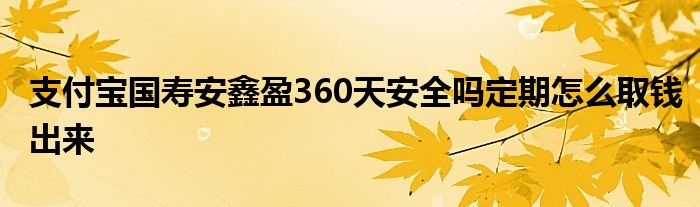 支付宝国寿安鑫盈360天安全吗定期怎么取钱出来