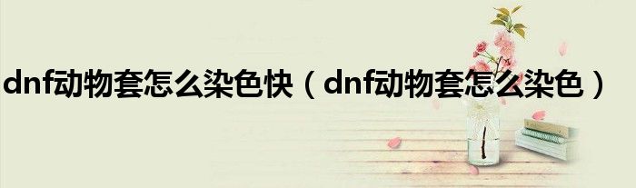 dnf动物套怎么染色快（dnf动物套怎么染色）