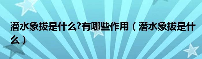 潜水象拔是什么?有哪些作用（潜水象拔是什么）