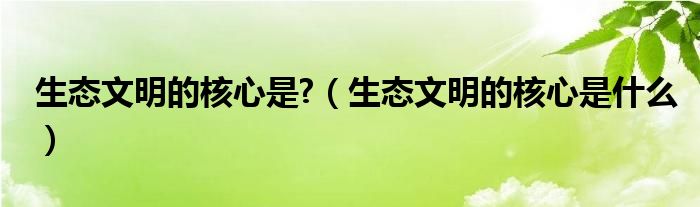 生态文明的核心是?（生态文明的核心是什么）