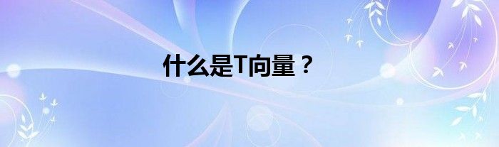 什么是T向量？